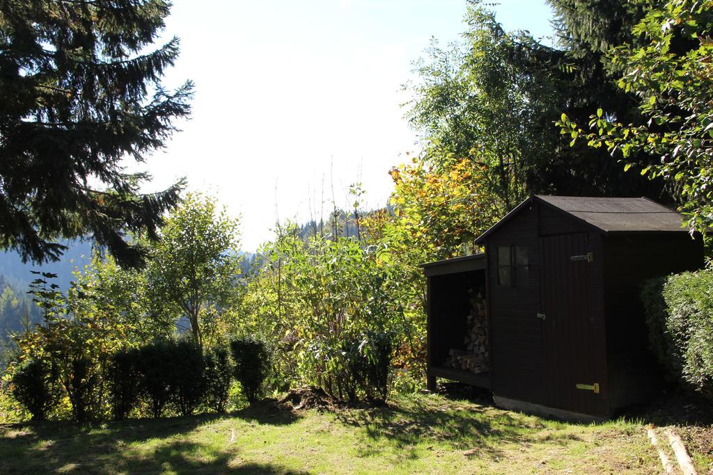 Schoene Aussicht Sankt Andreasberg Exteriér fotografie