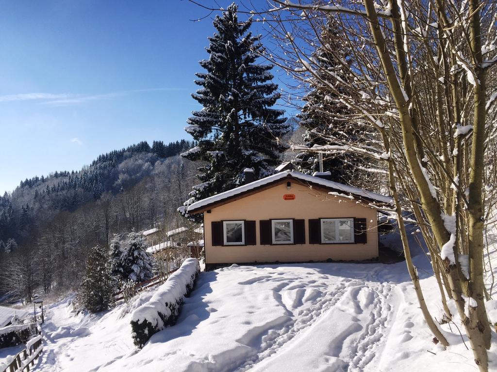 Schoene Aussicht Sankt Andreasberg Exteriér fotografie