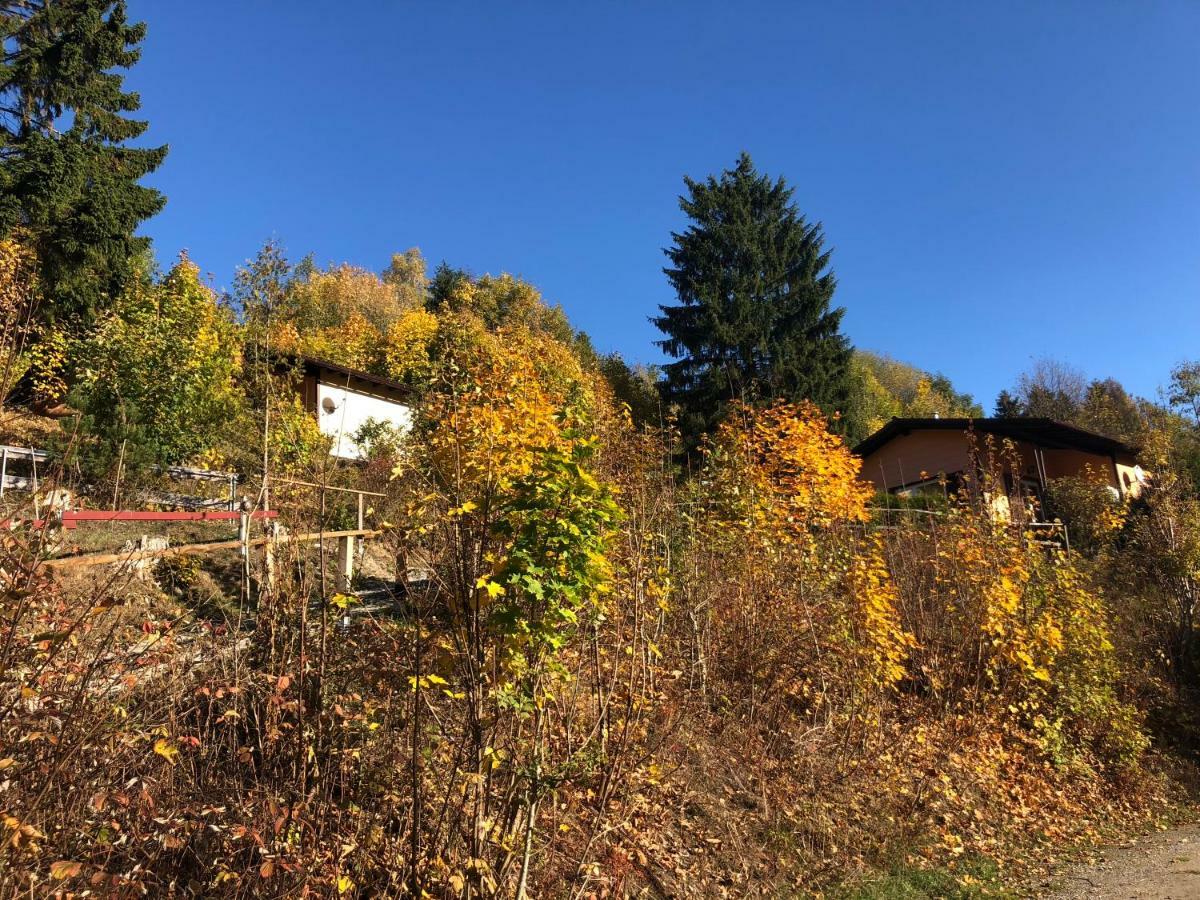 Schoene Aussicht Sankt Andreasberg Exteriér fotografie
